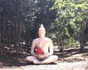 Um lugar encantador na praia da pipa Um lugar encantador